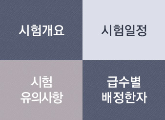 ���� ����